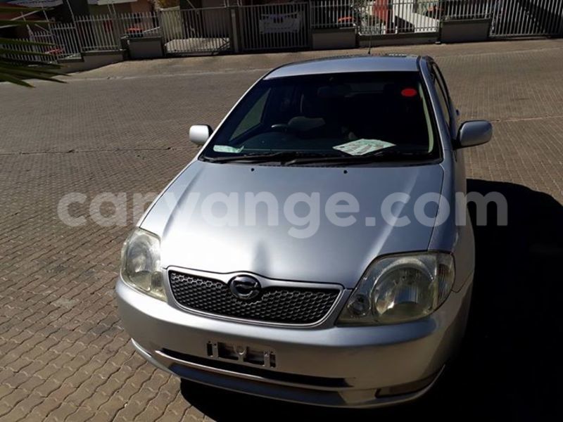 Big with watermark 18952779 709237862582138 3608237861038673941 n