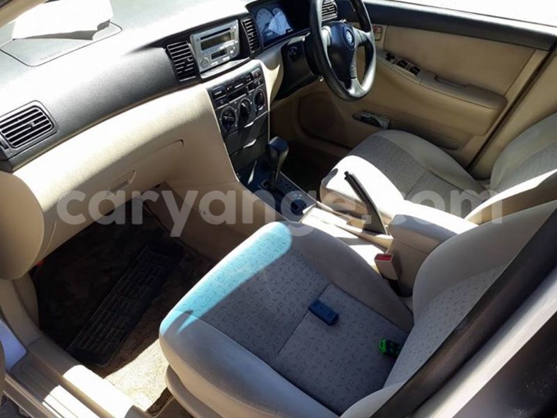 Big with watermark 19030339 709237869248804 8378660185752961642 n