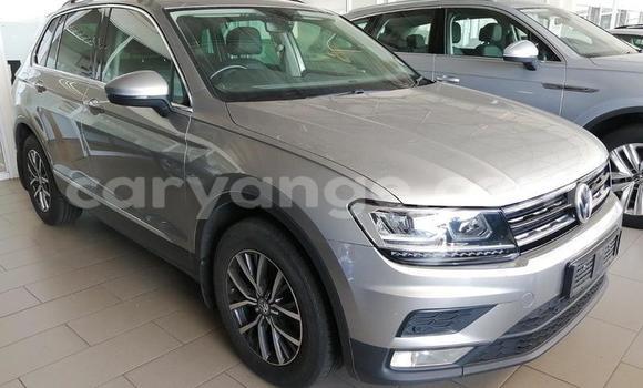 Buy Used Volkswagen Tiguan Silver Car in Windhoek in Namibia Buy Used Volkswagen Tiguan Silver Car in Windhoek in Namibia