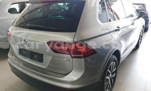 Buy Used Volkswagen Tiguan Silver Car in Windhoek in Namibia Buy Used Volkswagen Tiguan Silver Car in Windhoek in Namibia