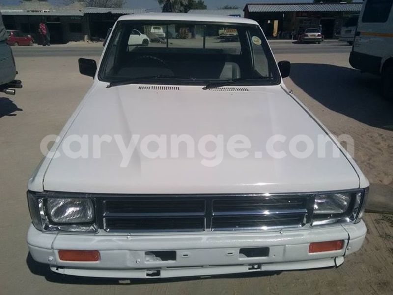 Big with watermark 18952779 709237862582138 3608237861038673941 n