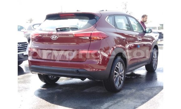 Buy Import Hyundai Tucson Red Car in Import - Dubai in Namibia Buy Import Hyundai Tucson Red Car in Import - Dubai in Namibia