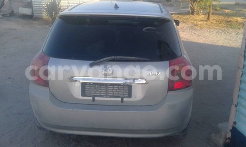 Big with watermark 18952779 709237862582138 3608237861038673941 n