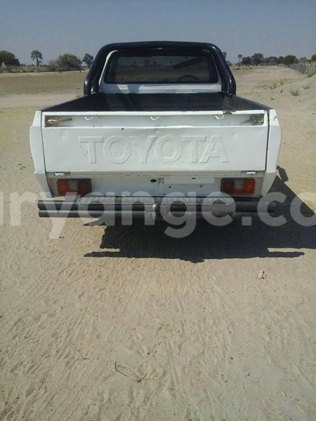 Big with watermark 20246301 486517841689715 4250919723230395693 n