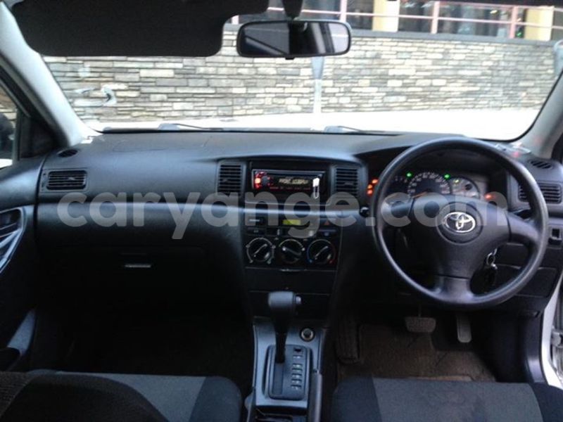 Big with watermark 20264555 486518065023026 4647407434506856133 n