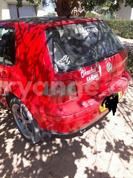 Big with watermark 20258215 486517948356371 2211171140494185906 n