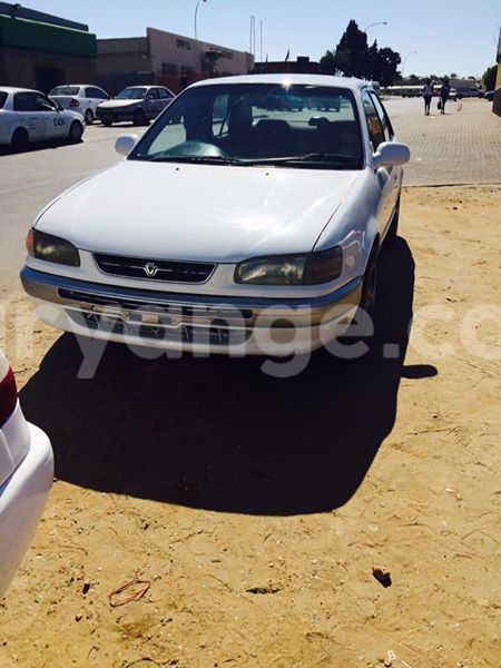 Big with watermark 20246301 486517841689715 4250919723230395693 n