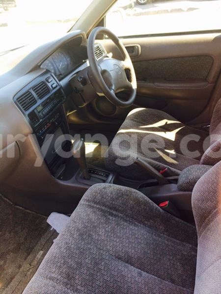 Big with watermark 20264555 486518065023026 4647407434506856133 n