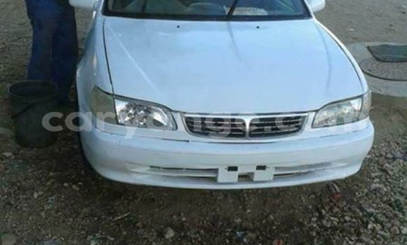 Buy Used Toyota Corolla White Car in Windhoek in Namibia Buy Used Toyota Corolla White Car in Windhoek in Namibia