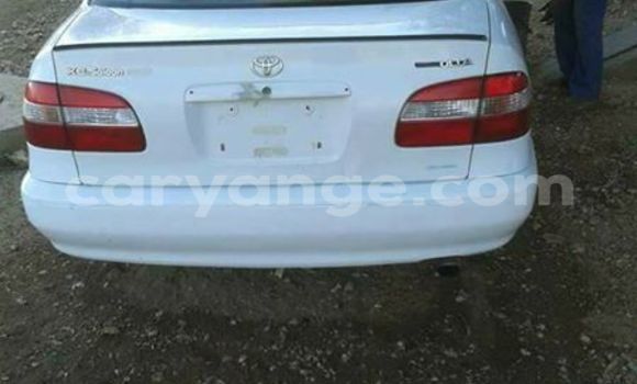 Buy Used Toyota Corolla White Car in Windhoek in Namibia Buy Used Toyota Corolla White Car in Windhoek in Namibia