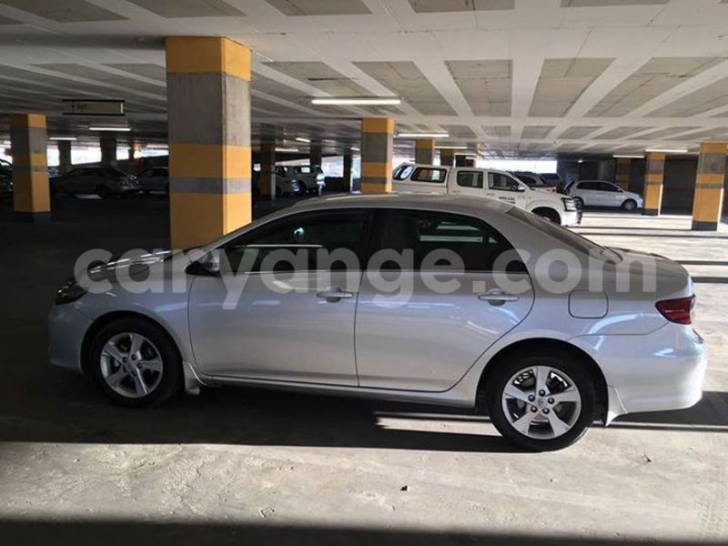 Big with watermark 20258215 486517948356371 2211171140494185906 n