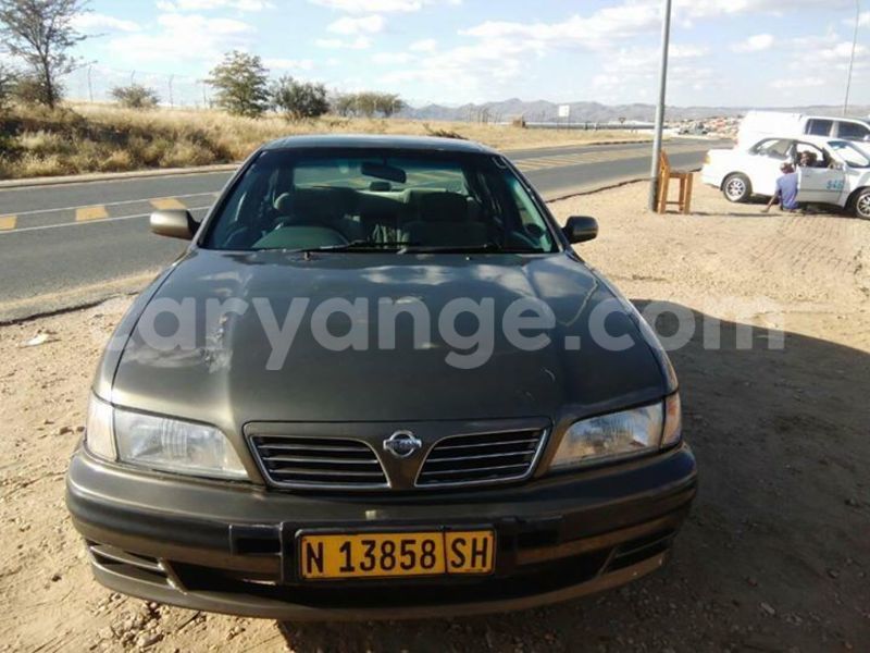 Big with watermark 20507624 10213595147931456 271286368842879963 o