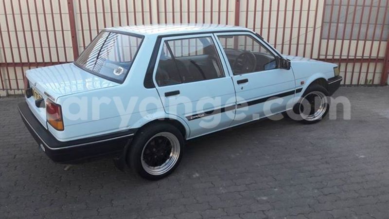 Big with watermark 20479507 643121139217956 6135447249838749121 n