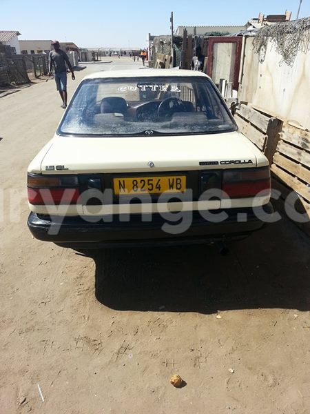 Big with watermark 20479507 643121139217956 6135447249838749121 n