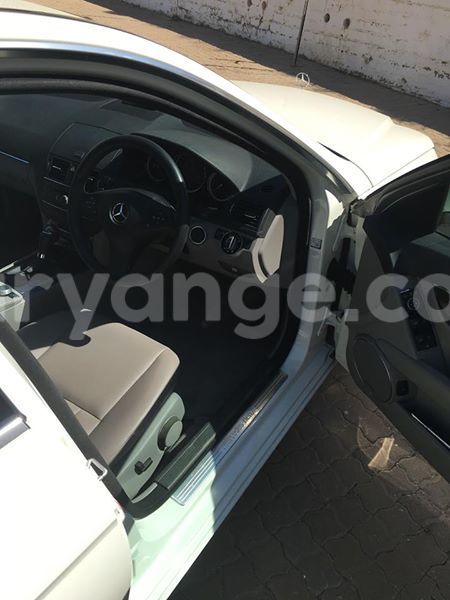 Big with watermark 20507784 10213595146891430 3142303441178211230 o