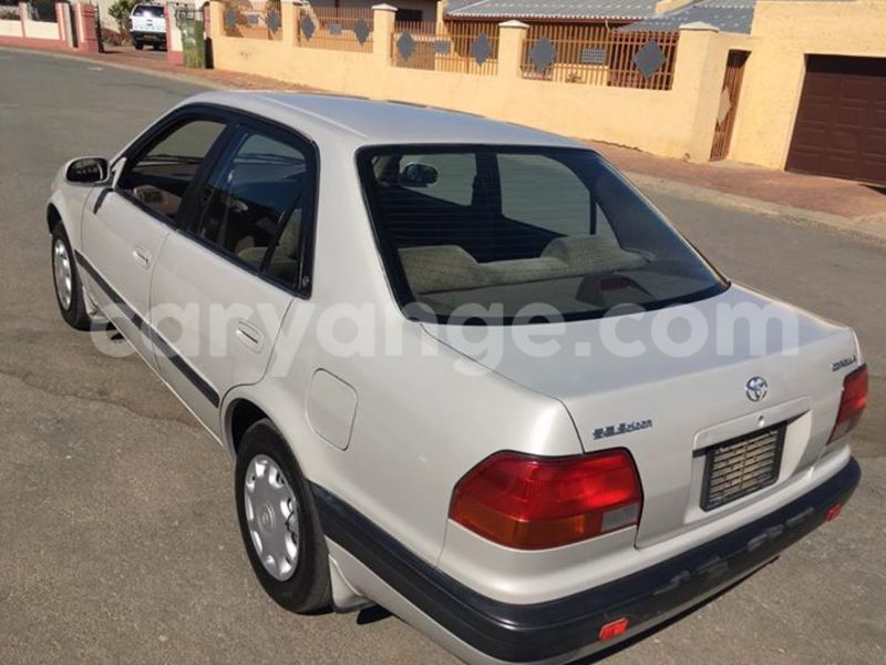 Big with watermark 20507624 10213595147931456 271286368842879963 o