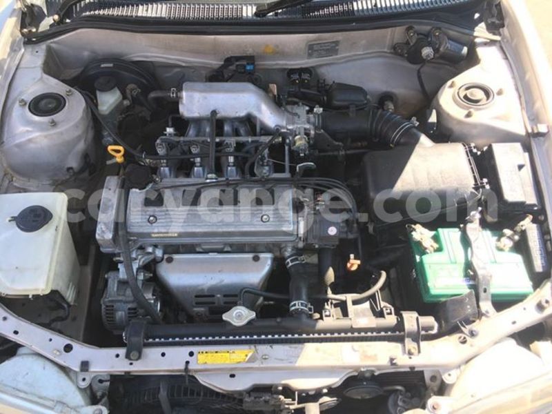 Big with watermark 20507784 10213595146891430 3142303441178211230 o