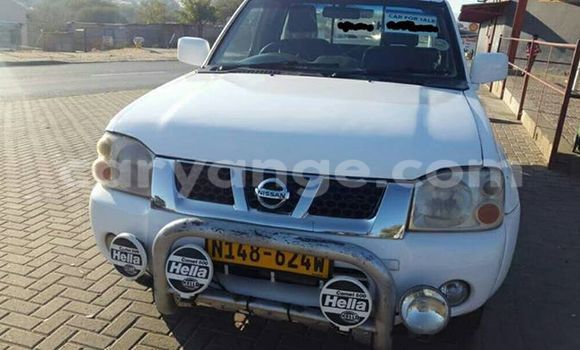 Buy Used Nissan Hardbody White Car in Windhoek in Namibia Buy Used Nissan Hardbody White Car in Windhoek in Namibia