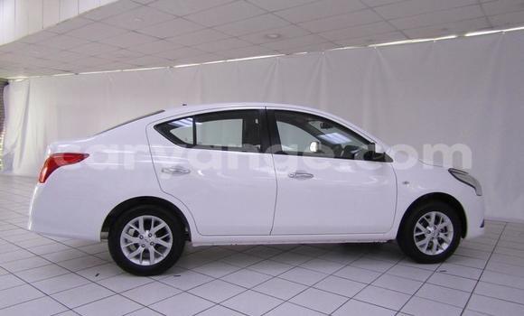 Buy Used Nissan Almera White Car in Windhoek in Namibia Buy Used Nissan Almera White Car in Windhoek in Namibia