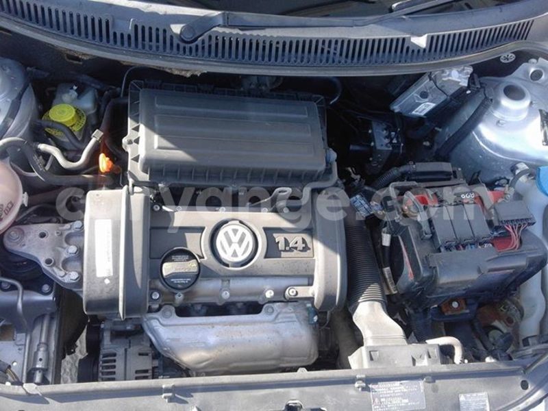 Big with watermark 20914554 1568525993215085 2248274423694694479 n