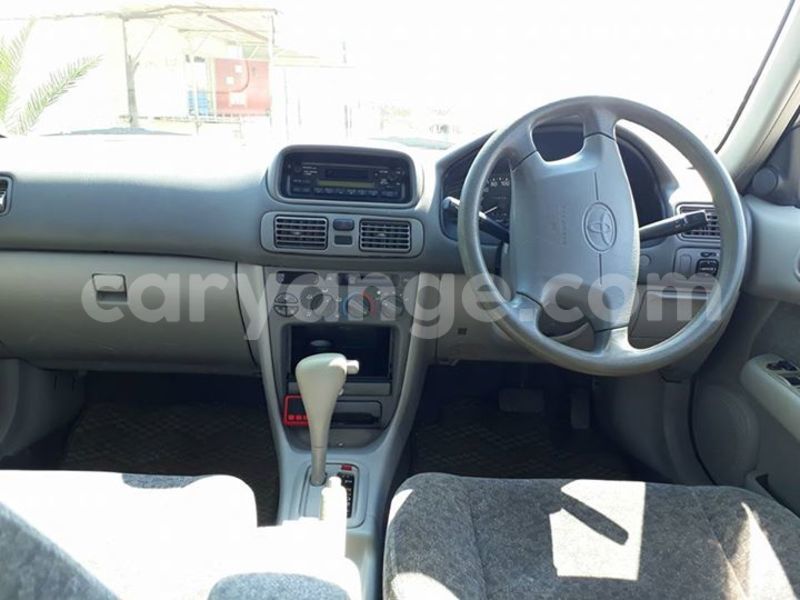 Big with watermark 20840871 1408796622569437 6001642189657423182 n