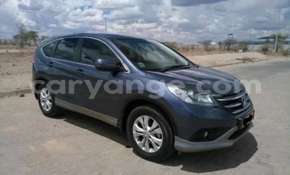 Buy Used Honda CR–V Blue Car in Windhoek in Namibia Buy Used Honda CR–V Blue Car in Windhoek in Namibia