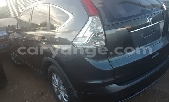 Buy Used Honda CR–V Blue Car in Windhoek in Namibia Buy Used Honda CR–V Blue Car in Windhoek in Namibia