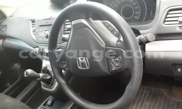 Buy Used Honda CR–V Blue Car in Windhoek in Namibia Buy Used Honda CR–V Blue Car in Windhoek in Namibia