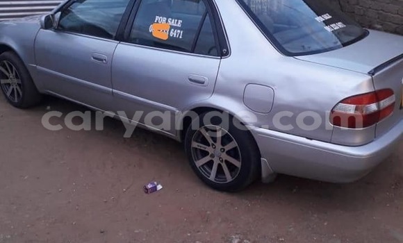 Buy Used Toyota Corolla Silver Car in Windhoek in Namibia Buy Used Toyota Corolla Silver Car in Windhoek in Namibia