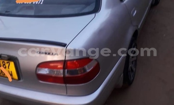 Buy Used Toyota Corolla Silver Car in Windhoek in Namibia Buy Used Toyota Corolla Silver Car in Windhoek in Namibia