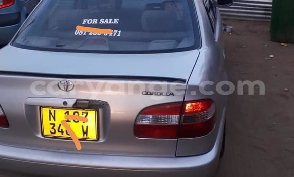 Buy Used Toyota Corolla Silver Car in Windhoek in Namibia Buy Used Toyota Corolla Silver Car in Windhoek in Namibia