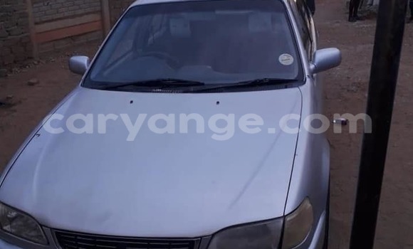 Buy Used Toyota Corolla Silver Car in Windhoek in Namibia Buy Used Toyota Corolla Silver Car in Windhoek in Namibia