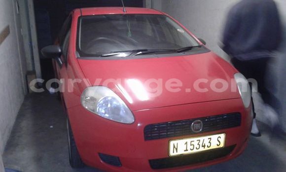 Buy Used Fiat Punto Red Car in Windhoek in Namibia