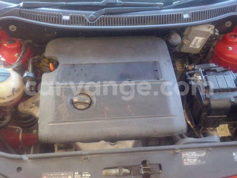 Big with watermark 20914554 1568525993215085 2248274423694694479 n