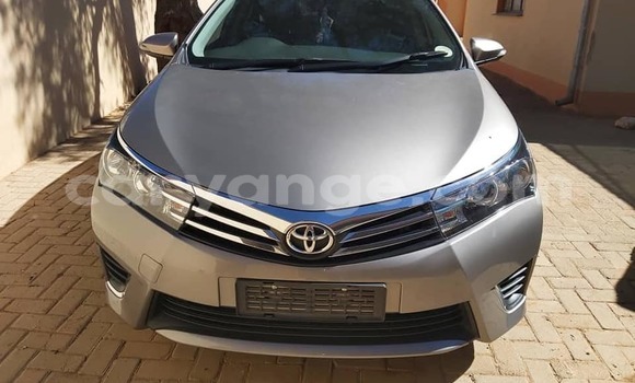 Acheter Occasion Voiture Toyota Corolla Autre à Windhoek, Namibie Acheter Occasion Voiture Toyota Corolla Autre à Windhoek, Namibie