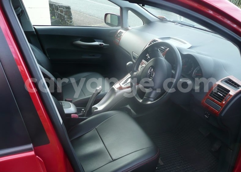 Big with watermark auris1..