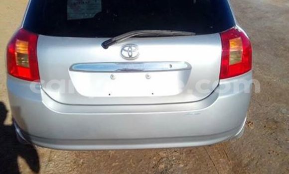Buy Used Toyota Runx Silver Car in Windhoek in Namibia Buy Used Toyota Runx Silver Car in Windhoek in Namibia