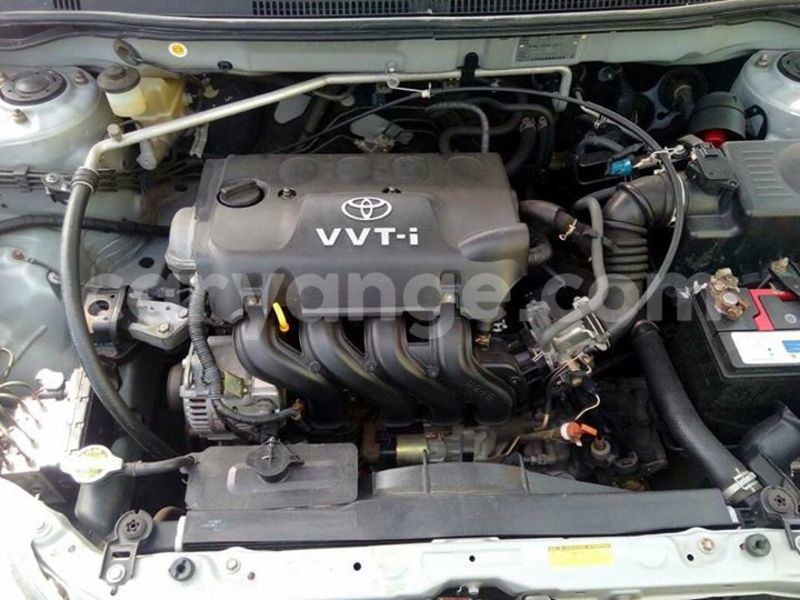 Big with watermark 18954797 10109901822210850 5806381462207131836 o