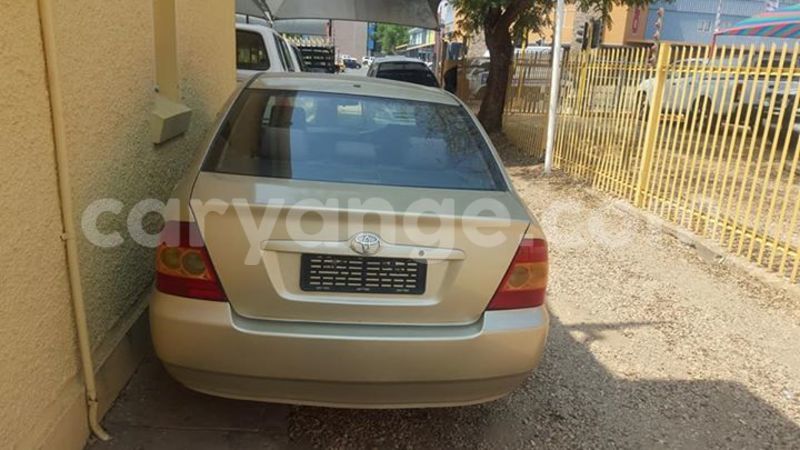 Big with watermark 18952779 709237862582138 3608237861038673941 n