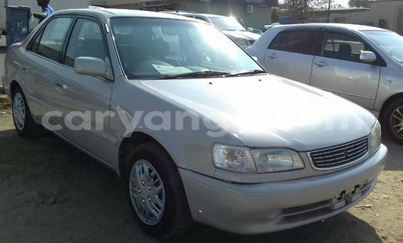 Acheter Occasion Voiture Toyota Corolla Gris à Windhoek, Namibie Acheter Occasion Voiture Toyota Corolla Gris à Windhoek, Namibie