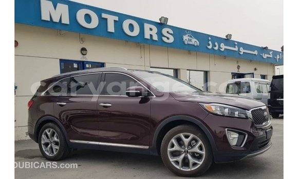 Buy Import Kia Sorento Red Car in Import - Dubai in Namibia Buy Import Kia Sorento Red Car in Import - Dubai in Namibia