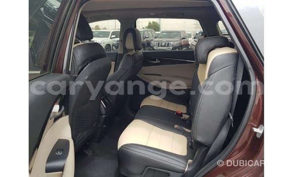 Buy Import Kia Sorento Red Car in Import - Dubai in Namibia Buy Import Kia Sorento Red Car in Import - Dubai in Namibia