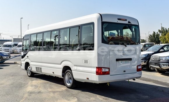 Buy Import Toyota Coaster White Car in Import - Dubai in Namibia Buy Import Toyota Coaster White Car in Import - Dubai in Namibia