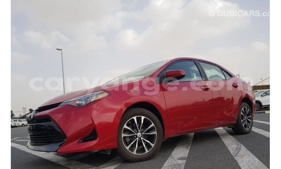 Buy Import Toyota Corolla Red Car in Import - Dubai in Namibia Buy Import Toyota Corolla Red Car in Import - Dubai in Namibia