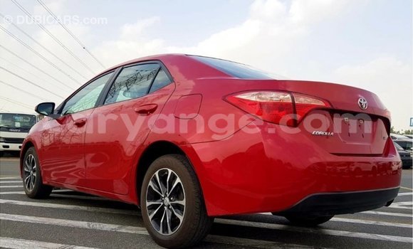 Buy Import Toyota Corolla Red Car in Import - Dubai in Namibia Buy Import Toyota Corolla Red Car in Import - Dubai in Namibia