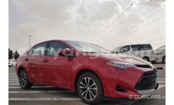 Buy Import Toyota Corolla Red Car in Import - Dubai in Namibia Buy Import Toyota Corolla Red Car in Import - Dubai in Namibia