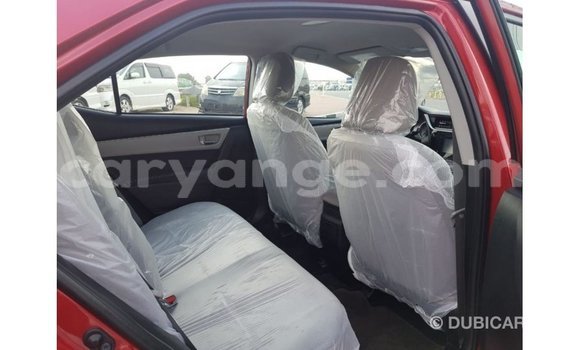 Buy Import Toyota Corolla Red Car in Import - Dubai in Namibia Buy Import Toyota Corolla Red Car in Import - Dubai in Namibia