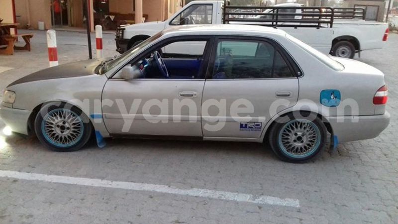 Big with watermark 18954797 10109901822210850 5806381462207131836 o