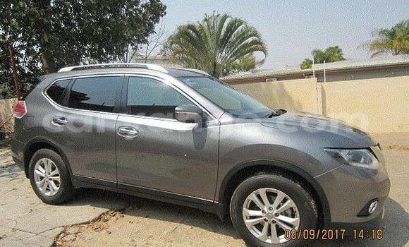Buy Used Nissan X-Trail Silver Car in Windhoek in Namibia Buy Used Nissan X-Trail Silver Car in Windhoek in Namibia