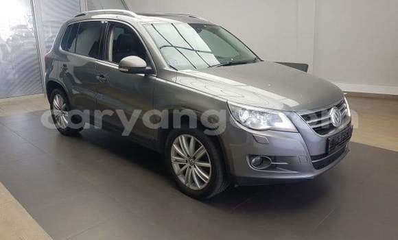 Acheter Occasion Voiture Volkswagen Tiguan Autre à Windhoek, Namibie Acheter Occasion Voiture Volkswagen Tiguan Autre à Windhoek, Namibie